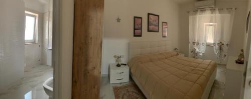 Apollosa House | monolocale