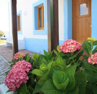 Carrascalinho House | Monte da Sapaleira