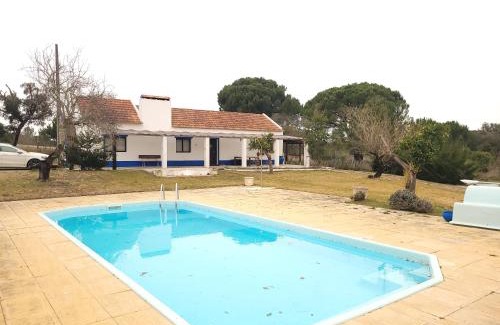 Vale de Mulheres House | Monte das Laranjeiras