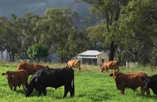 Forest Springs House | Montrose Farm Stay - Charming 2 bedroom cottage