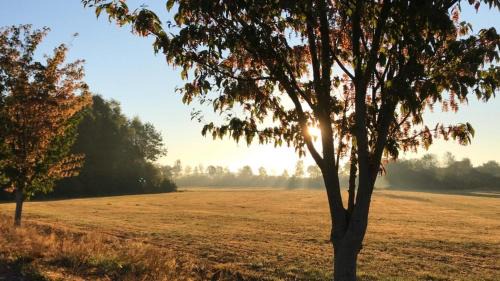 Oosterwolde Bed & Breakfast | Mooiverblijf