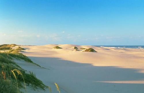 South Padre Island Apartment | Moon Dancer Condominiums
