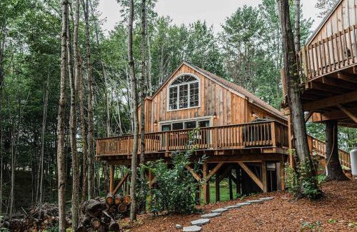 Belgrade House | MoonLight Treehouse At Belgrade Hospitality