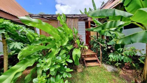 Hauru Apartment | MOOREA - Studio Natura