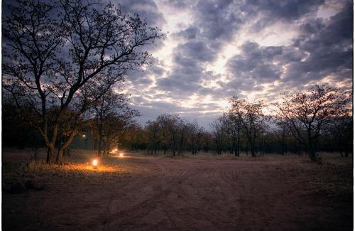 Weipe Cabin | Mopane Bush Lodge