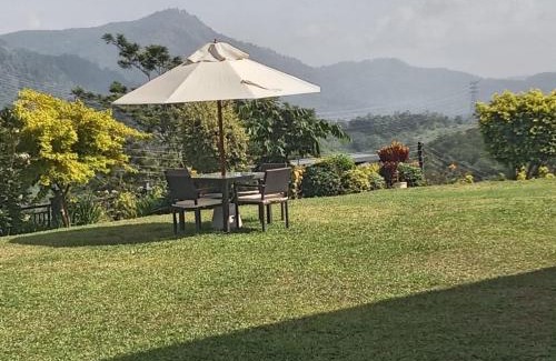 Udapalatha Villa | Moragolla Estate Bungalow Kothmale