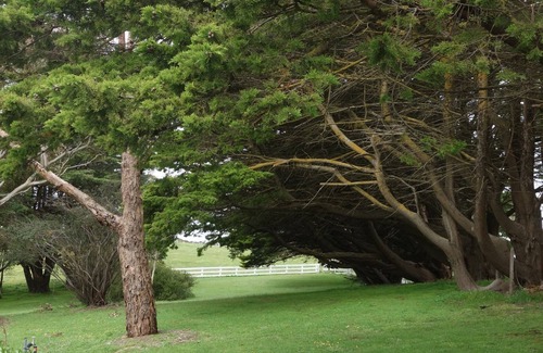 Cape Jervis House | Morella Farm Stay -unique farm style experience