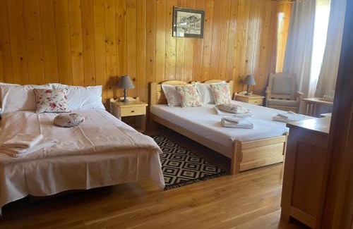 Murighiol House | Morena Mansion