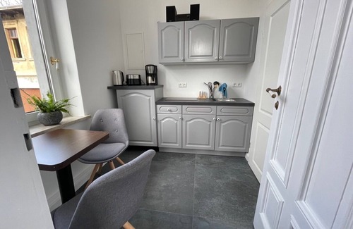 Schmolln Apartment | Moritz townhouse-modern apartment in the style of the old + garden shed