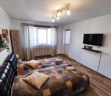 Sfantu Gheorghe Apartment | Morningstar