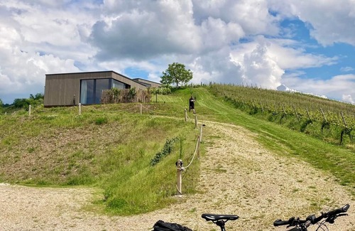Kluesserath House | MoselHoch 2 is the middle of three vacation cottages on the edge of the vineyards.