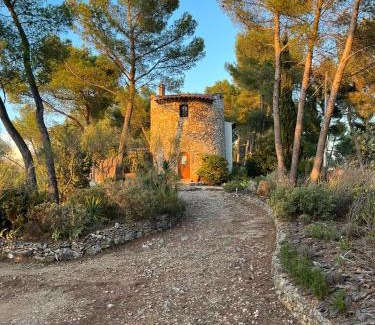Bouc-Bel-Air Bed & Breakfast | Moulin Rouge Provençal Suite Premium avec jacuzzi extérieur