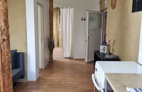 Saint-Martin-en-Vercors Apartment | Mountain apartment