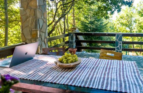 Comarnic House | Mountain Family Chalet on Prahova Valley