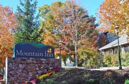 Wintergreen Condo | Mountain Inn Lodge 78 with Wintergreen Advantage