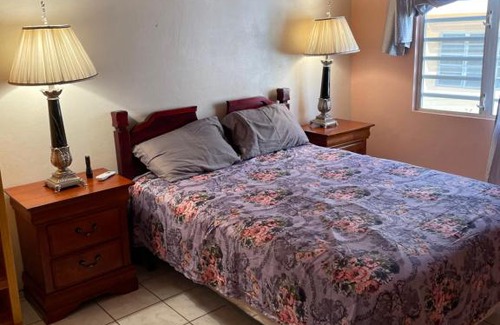 Basseterre Apartment | Mountain view Apartment