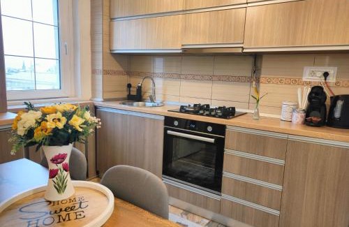 Petrosani Apartment | Mountain View Apartment
