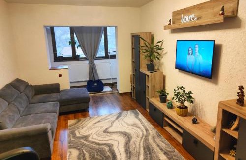 Petrosani Apartment | Mountain View Apartment