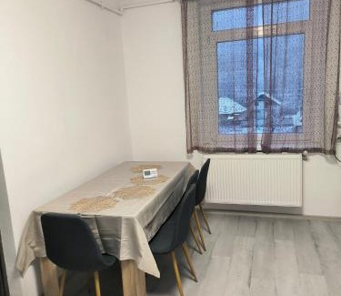 Baia Mare Apartment | Mountain view