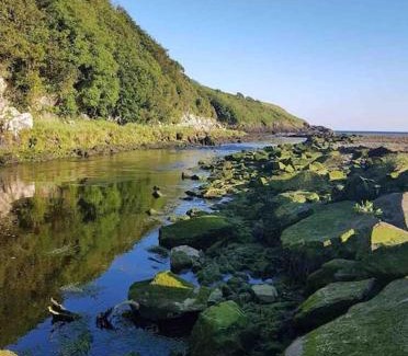 Stradbally House | Mounvaud Lodge