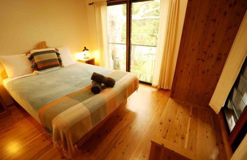 Mount Warning Other | Mt Warning Rainforest Park