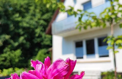 Ottersweier House | Muhrbach