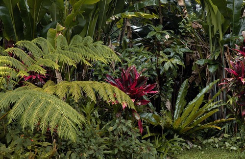 Mullumbimby House | Mullum Muse, a magical place that connects you back to nature.