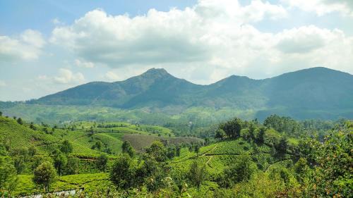 Devikolam Villa | Munnar Valley View Annex