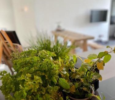 Irrel Apartment | Mya Lenas Suite