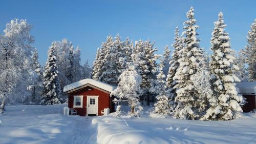 Arvidsjaur Cabin | Myrkulla Lodge