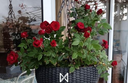 Pedrogao Apartment | MyStay - Casa Sete Lano