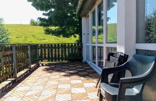 Auerbach Apartment | Nähe Plohn Park - FEWO mit großem Balkon und Gästezimmer Wiesnblick