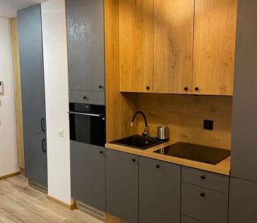 West Pomeranian Voivodeship Apartment | Na Hanzie