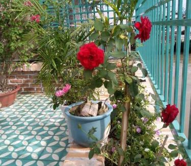 Đong Hoa Hiep House | Nam Thi Holiday Home