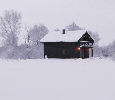 Rusne House | Namelis Gluosnė