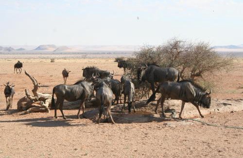 Solitaire Cabin | Namib Naukluft Lodge