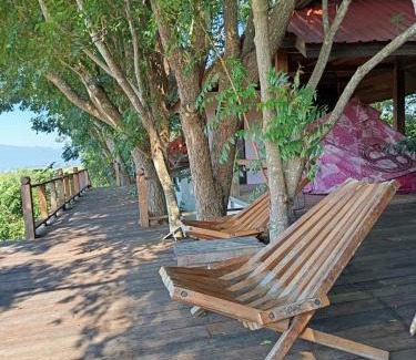 Phrao Other | Napahong forest camp