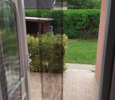 Koszeg Apartment | Napkő