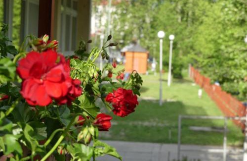 Baja Hostel | Napsugár Szálló Baja