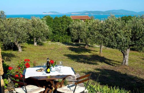 Alghero House | Narcisi