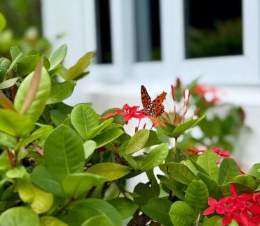 Great Exuma House | Natural Mystic Exuma