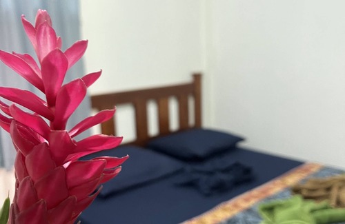 Boca del Drago Bed & Breakfast | Natural Vacational Spot for Groups, Beach just 200 mts away, Paradise Island