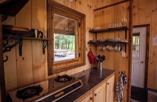 Saint-Etienne-De-Bolto Cabin | Nature eco-lodge with water view: La Mésange