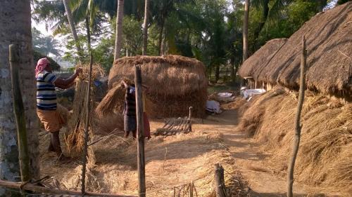 Kendrapara Other | Nature Camp Bhitarkanika Retreat