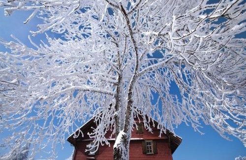 Blausee House | Nature Escape in Kander Valley