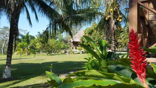 Bermudian Landing Cabin | Nature Resort