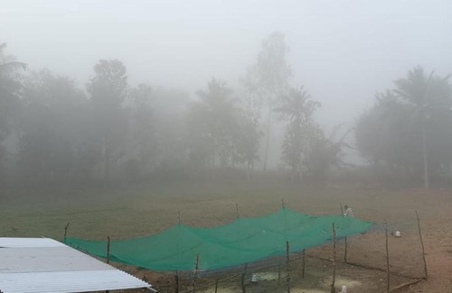 Piriyapatna House | Nature View Cottage