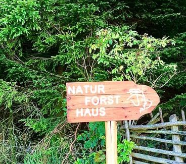 Preitenegg Bed & Breakfast | Naturforsthaus Eddas Zimmer für Hunde - und naturverbundene Menschen