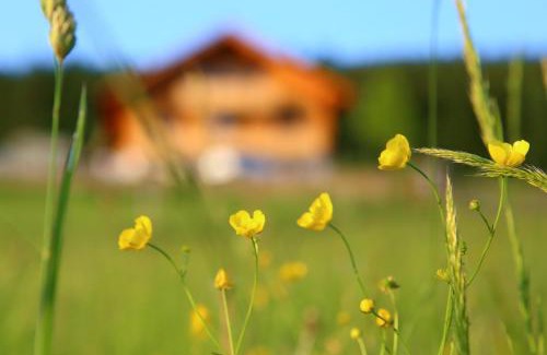 Rittersgrun House | Naturpension Max-Hütte