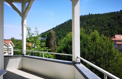Bad Harzburg Apartment | NaturPur